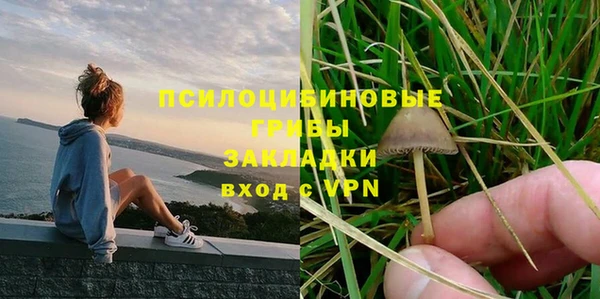 apvp Алзамай