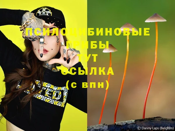 Альфа ПВП Алексин