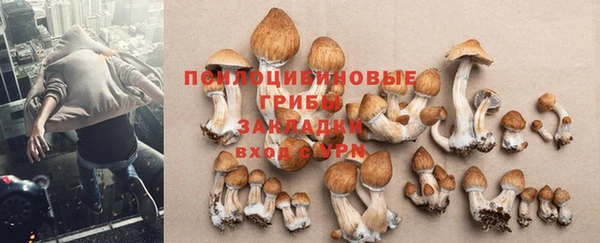 Альфа ПВП Алексин