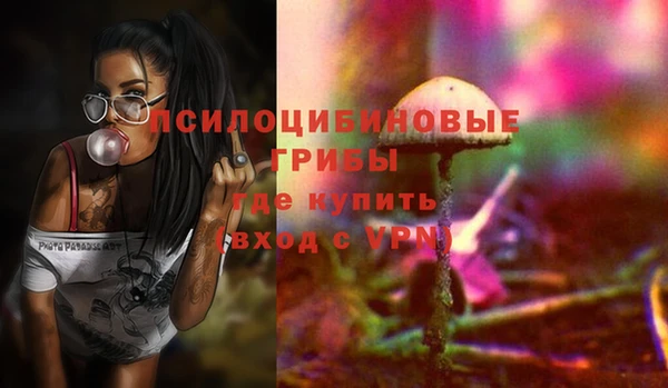 apvp Алзамай