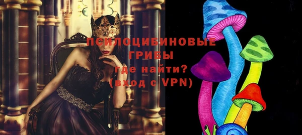 apvp Алзамай