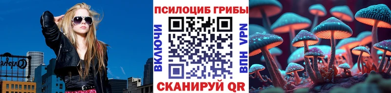 нарко площадка телеграм  Сельцо  Псилоцибиновые грибы мицелий 